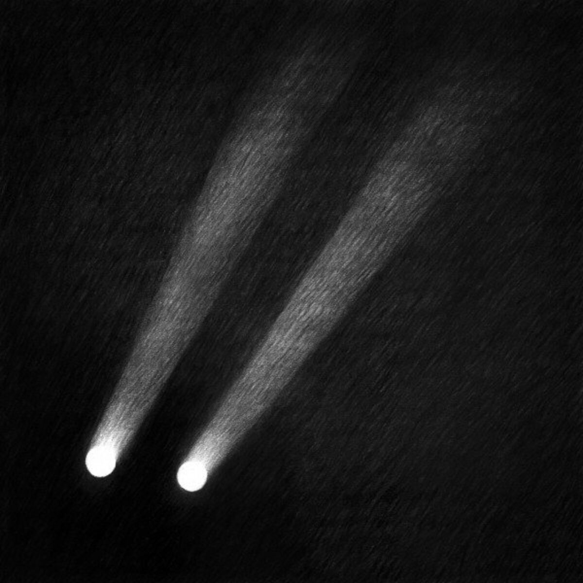 Album cover of Bones
