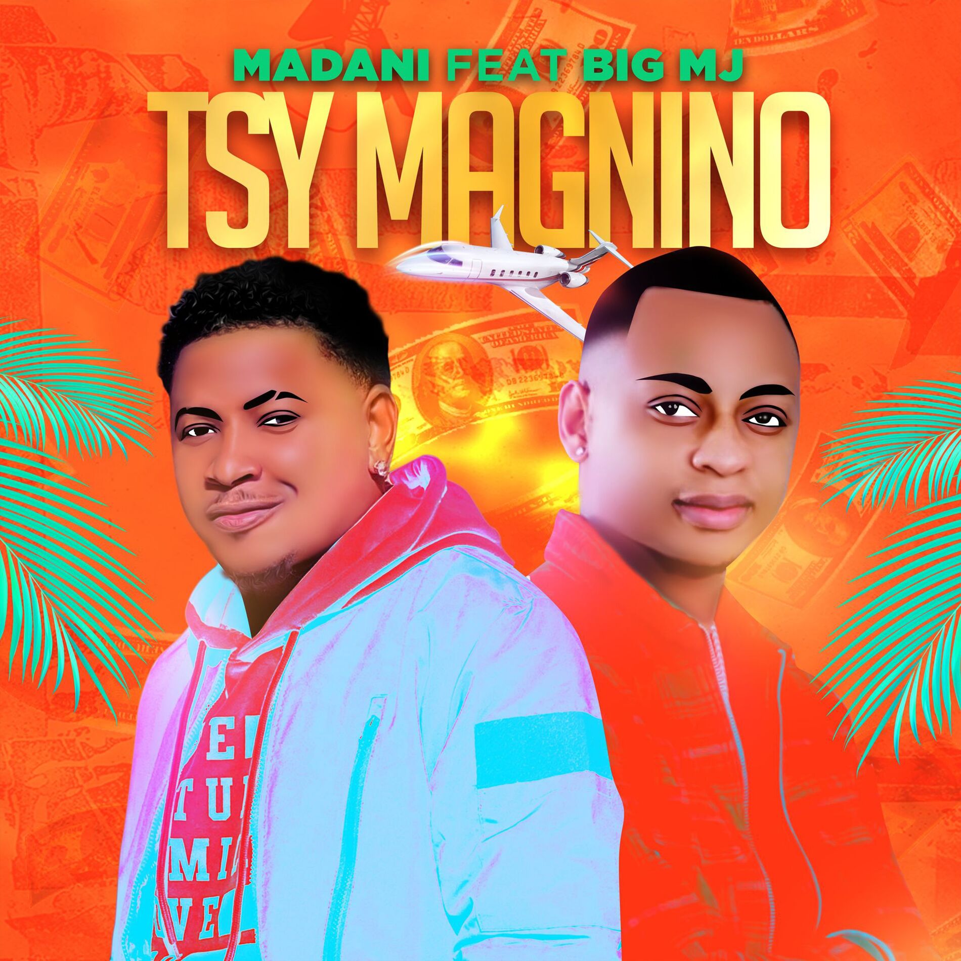 Album cover of Tsy magnino