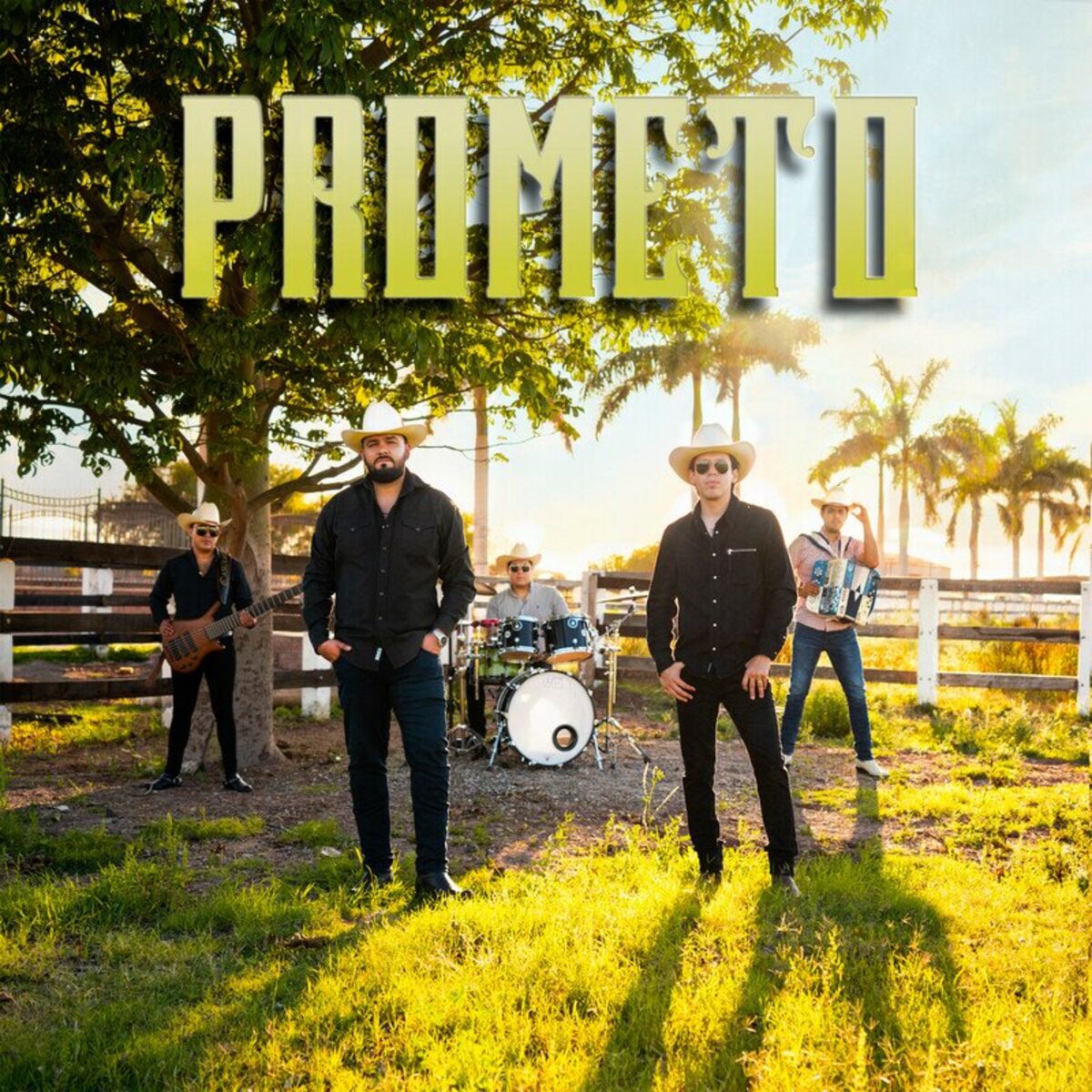 Album cover of Prometo
