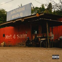 Cover of Not 4 Sale