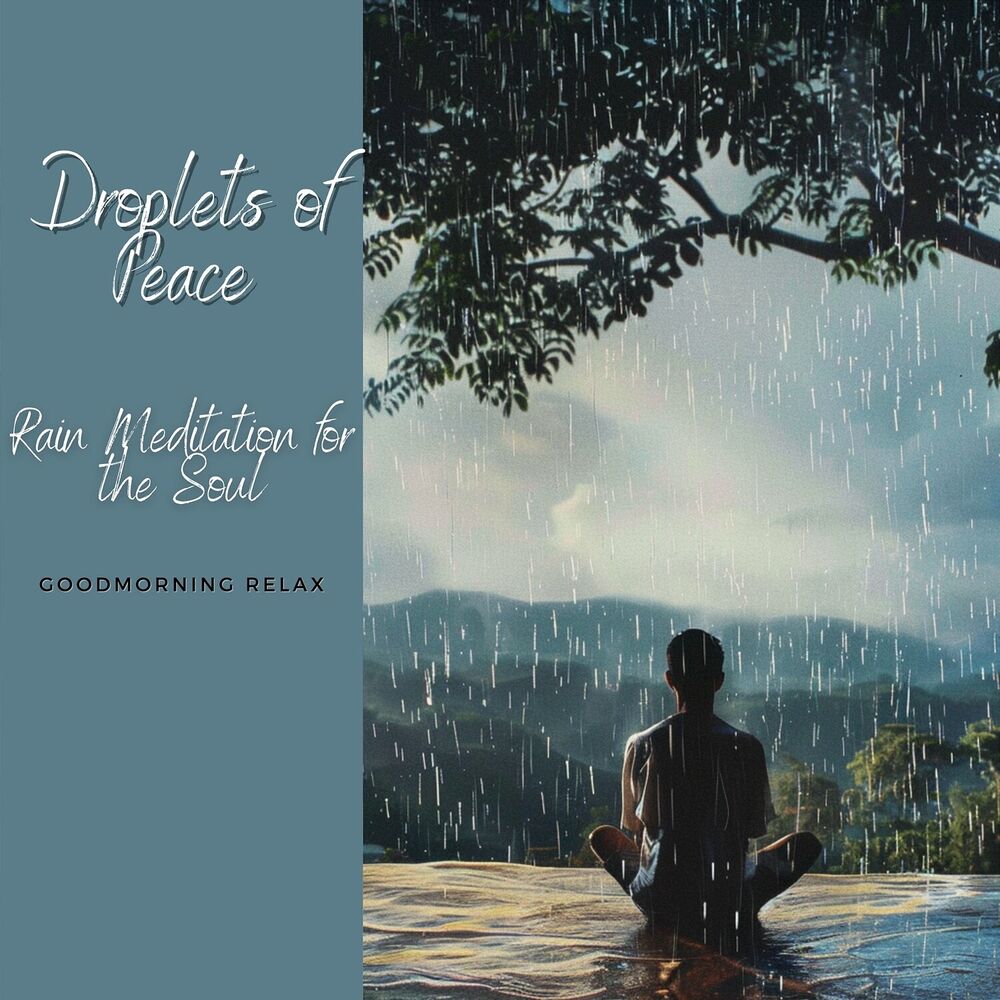 Picture of Droplets of Peace: Rain Meditation for the Soul