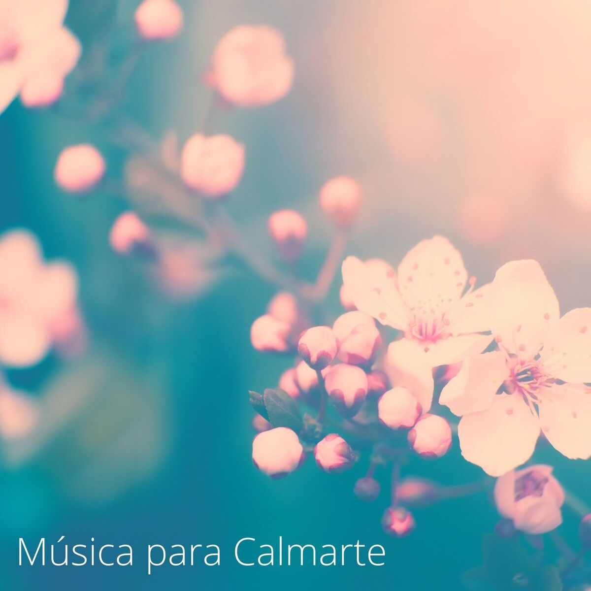Album cover of Música para Calmarte: Canciones Lentas para Calmar Tu Mente y Tu Respiración Cuando Estás Estresado