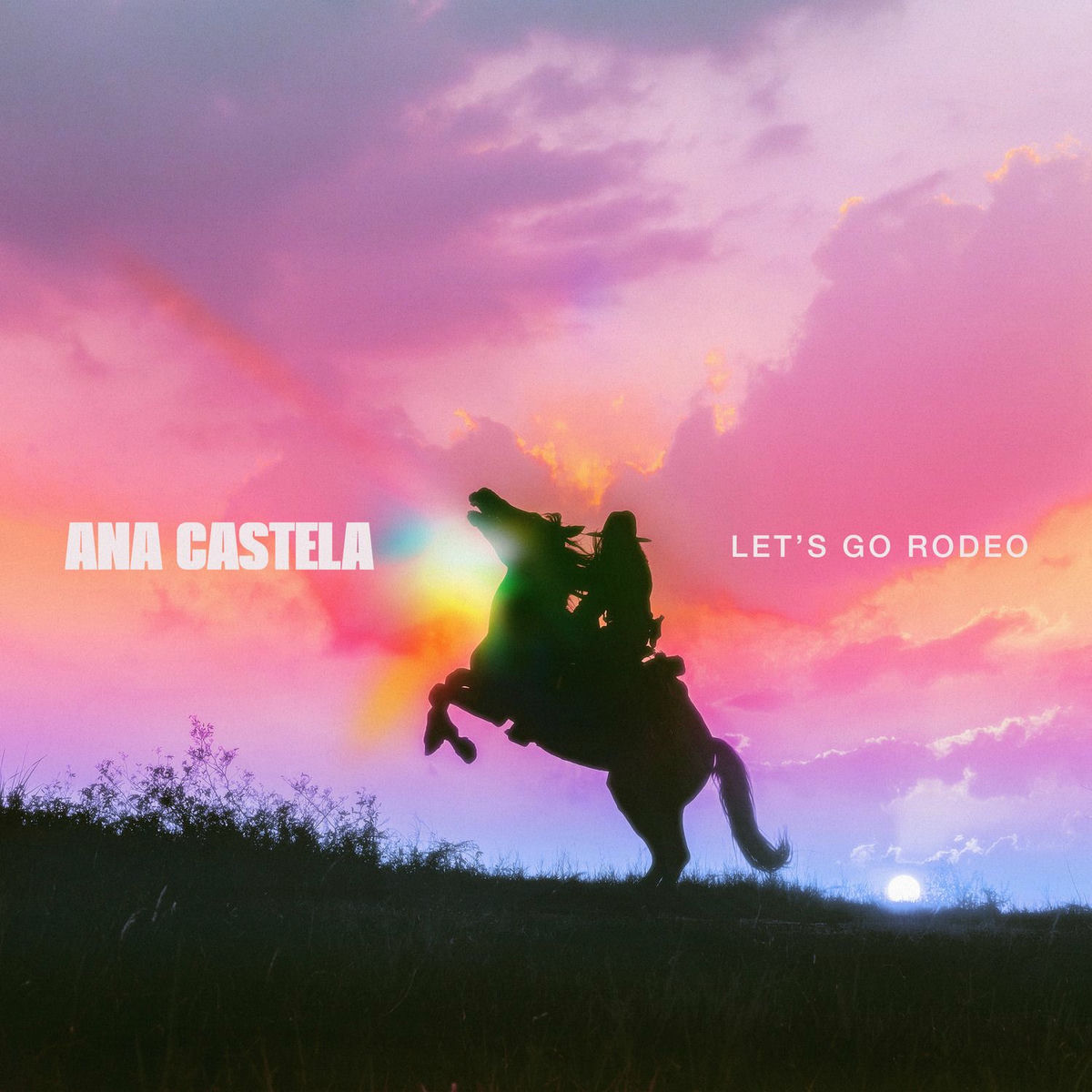 Album cover of Let's Go Rodeo