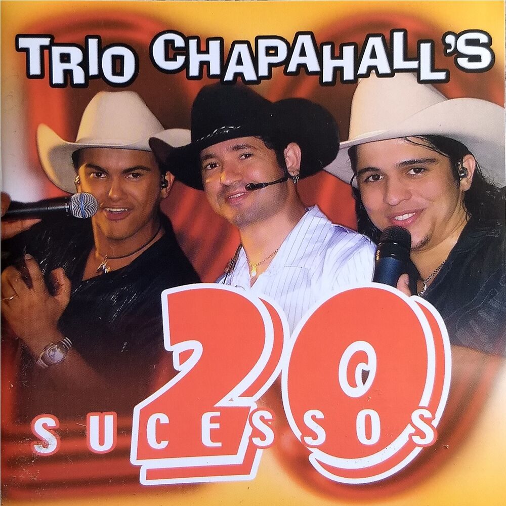 Picture of 20 Sucessos (Ao Vivo)