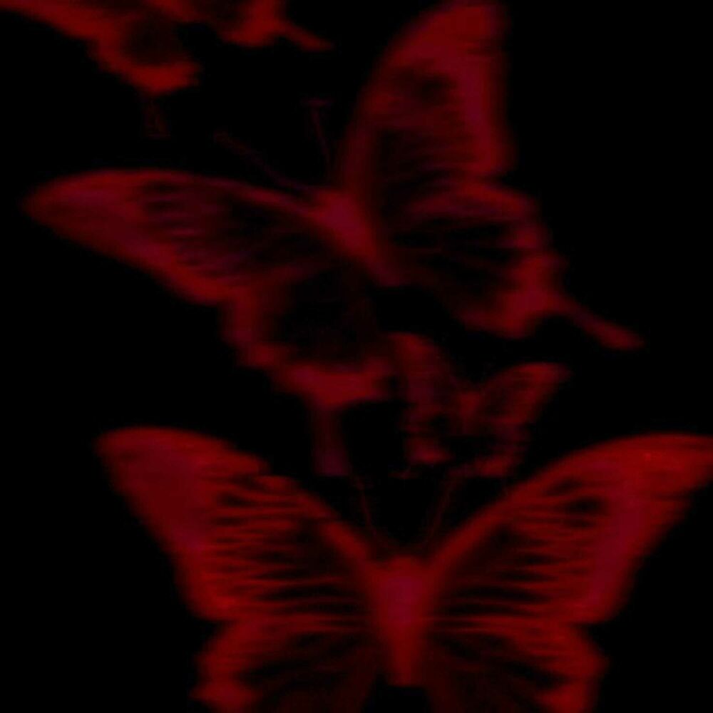 Picture of Mariposa