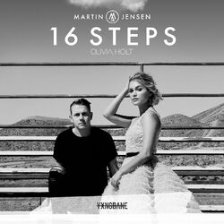 Cover of 16 Steps