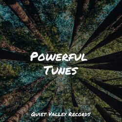 Cover of Powerful Tunes