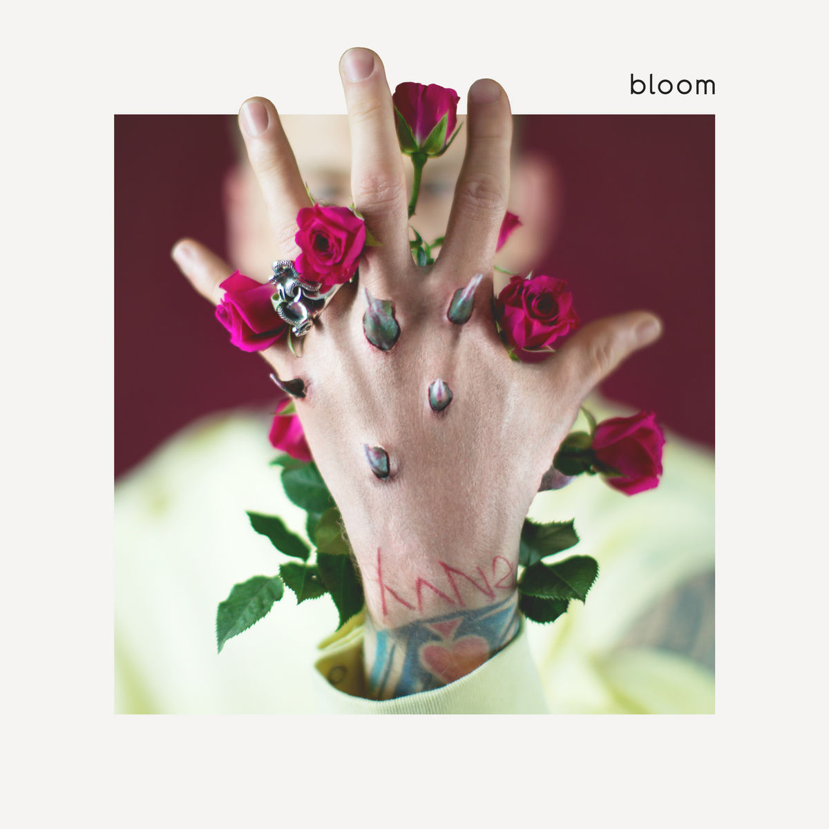 Album cover of bloom