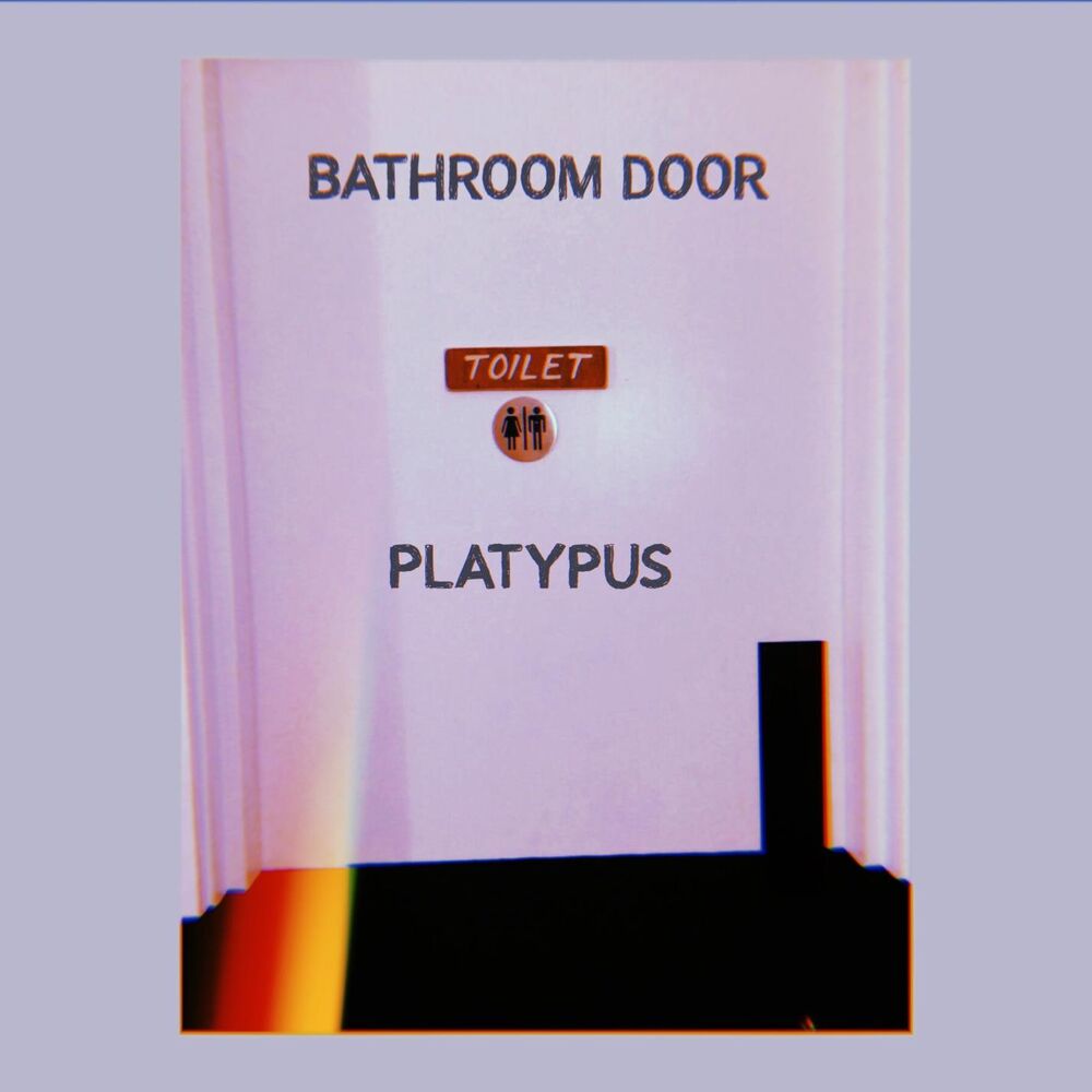 Picture of Bathroom Door
