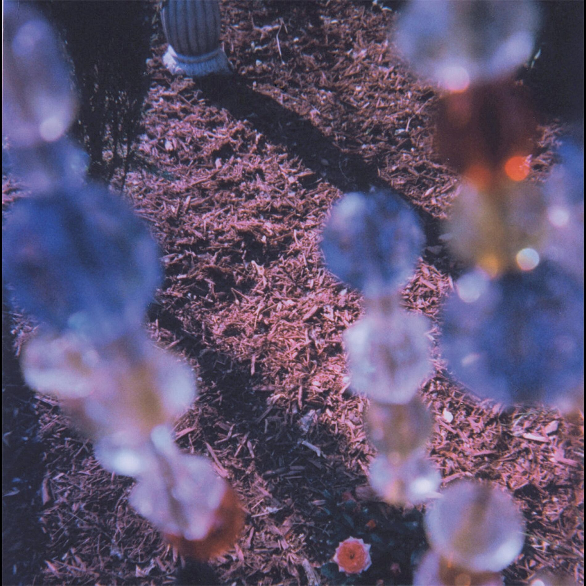 Album cover of Indigo