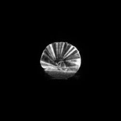 Cover of Eisbaden