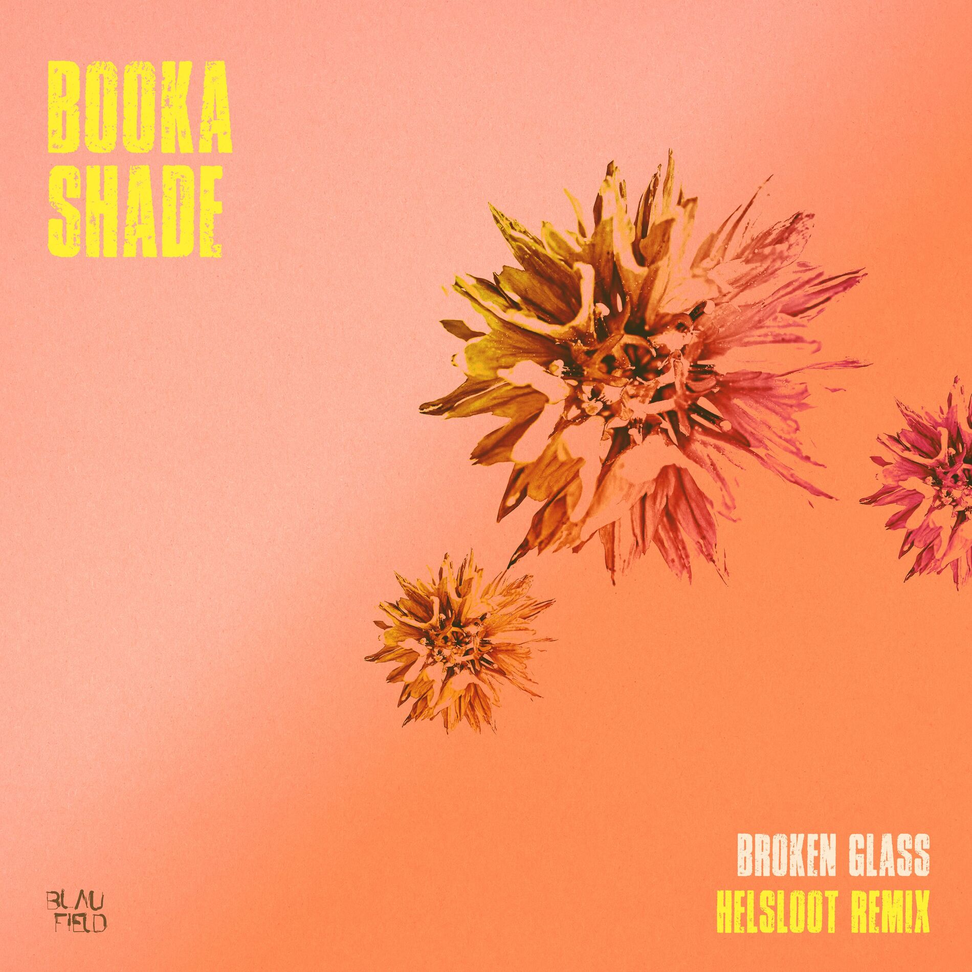 Album cover of Broken Glass (Helsloot Remix)