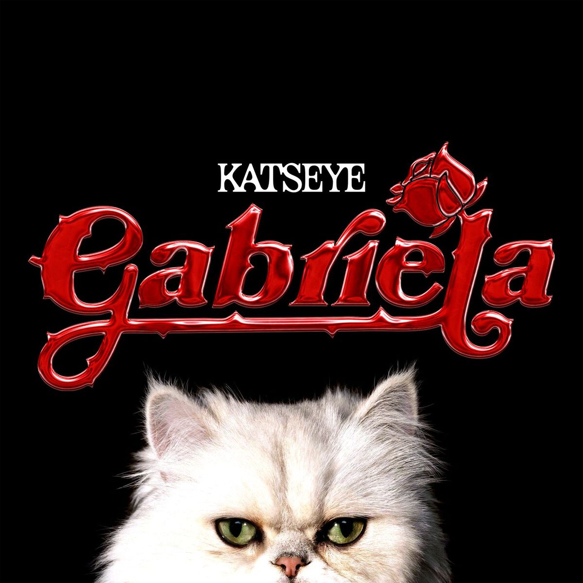 Album cover of Gabriela