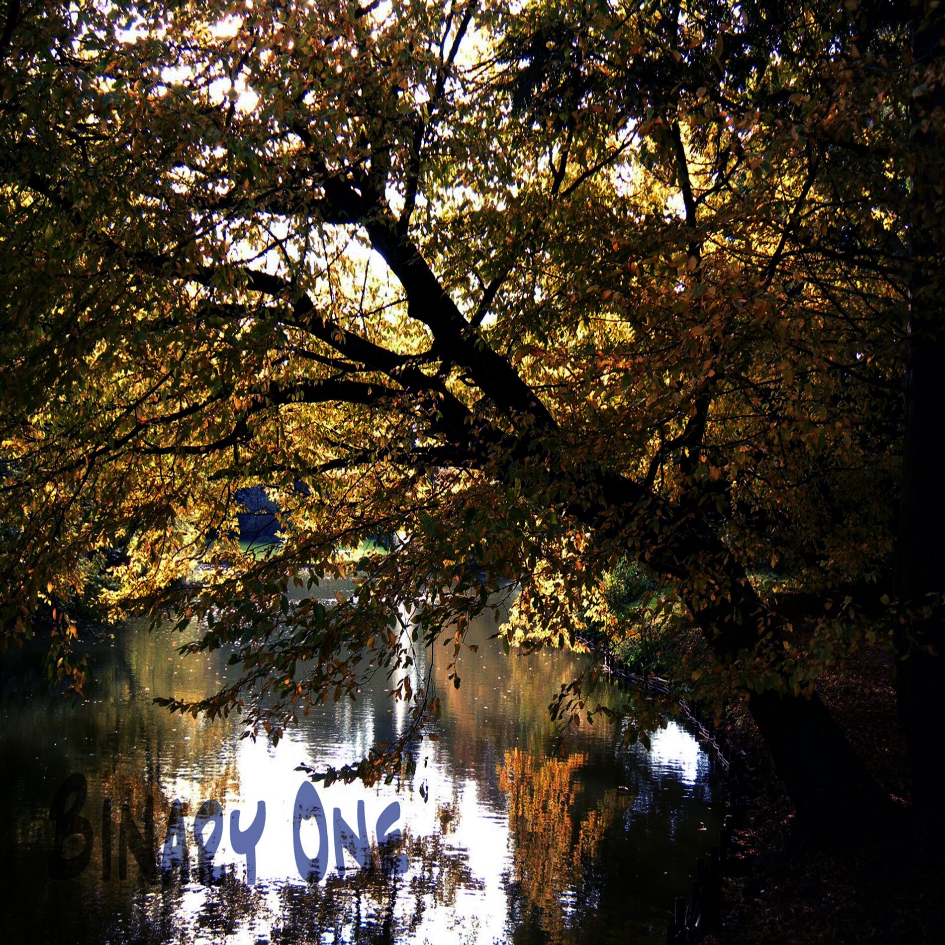 Album cover of Sleeping Traveller