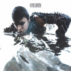 Cover of SKIN OF MY TEETH