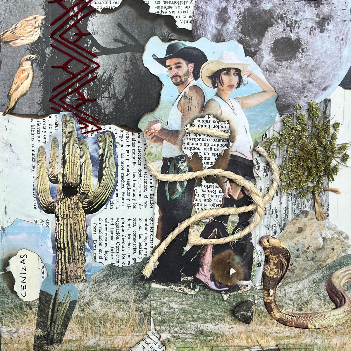 Album cover of Cenizas