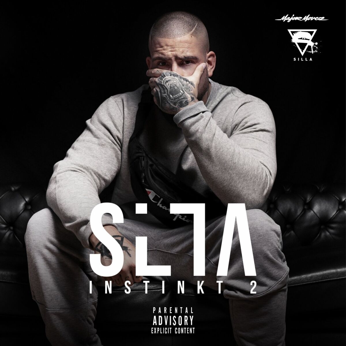 Album cover of Silla Instinkt 2