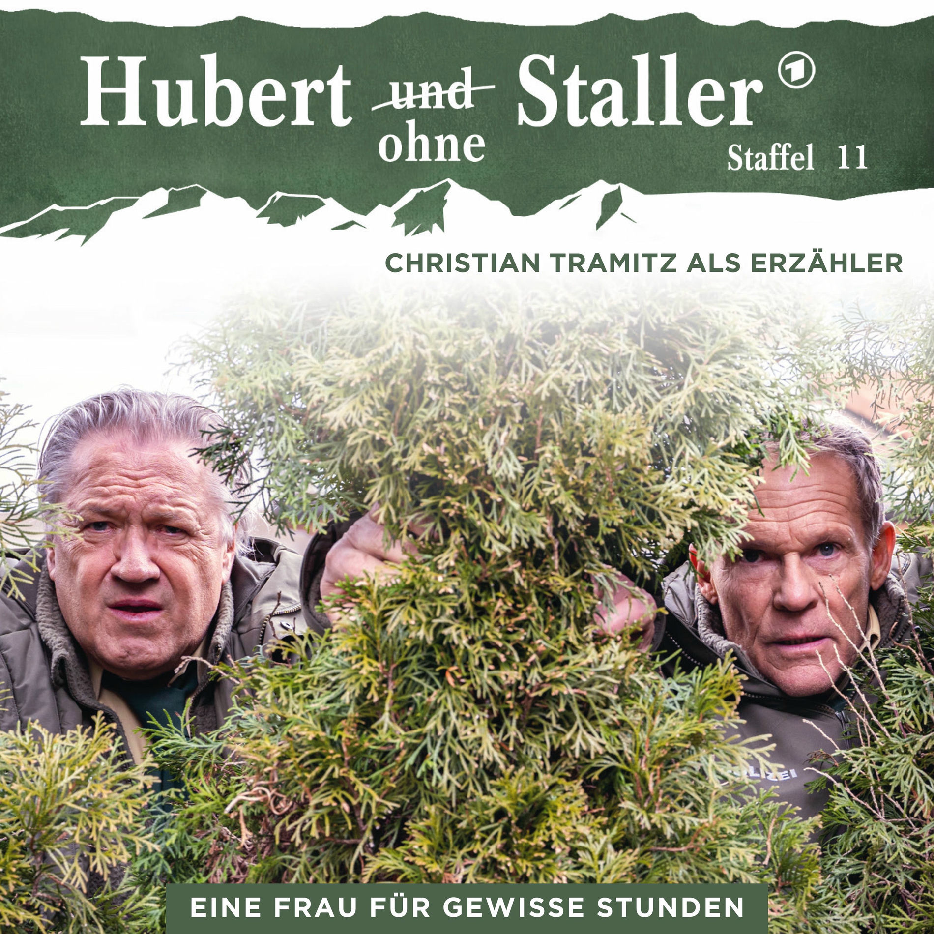 Album cover of Folge 33: Eine Frau für gewisse Stunden