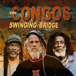 Cover of Swinging Bridge