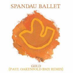 Cover of Gold (Paul Oakenfold BMX Remix)