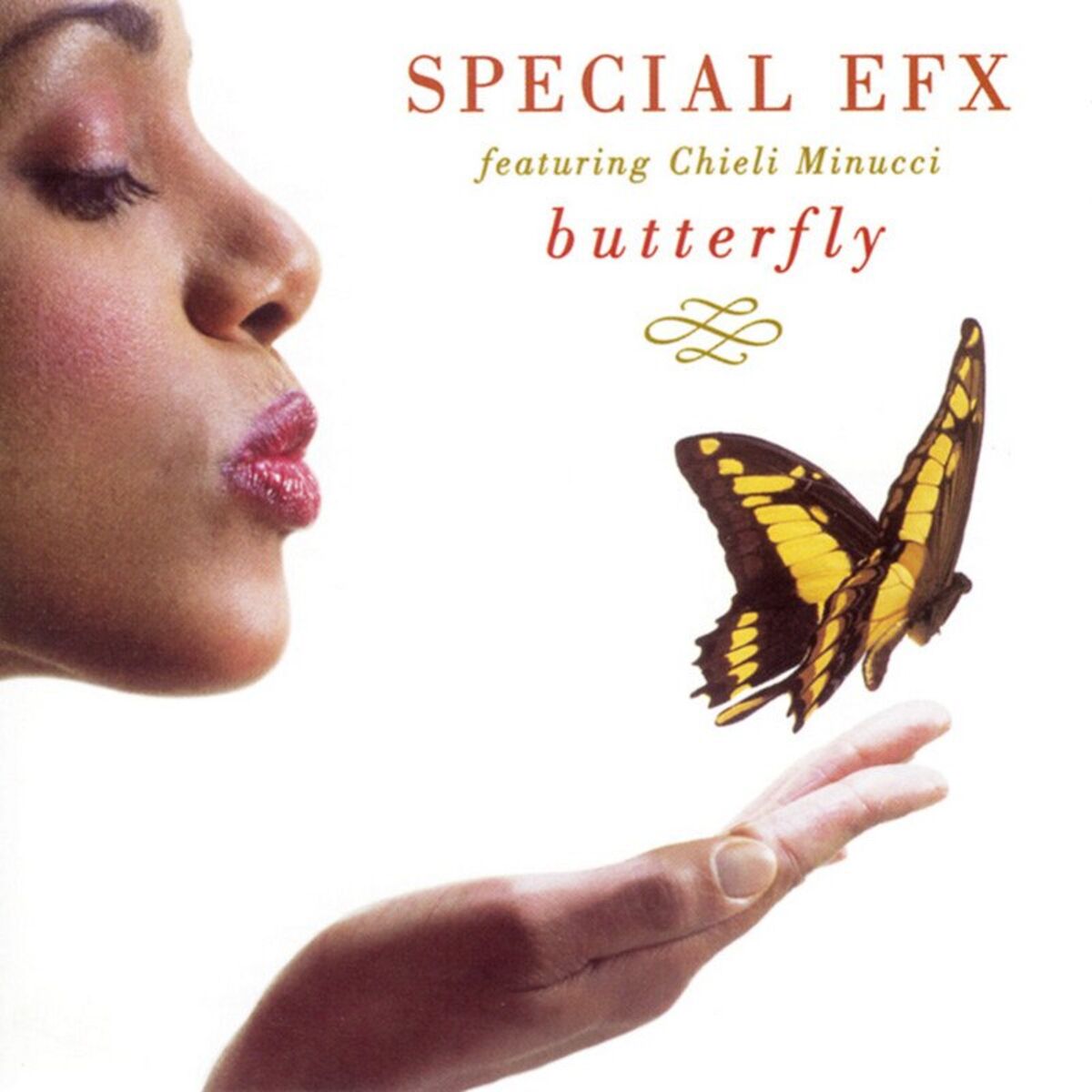 Album cover of Butterfly