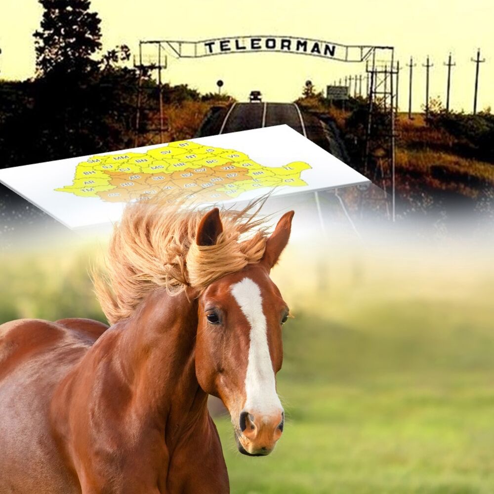 Picture of Teleorman