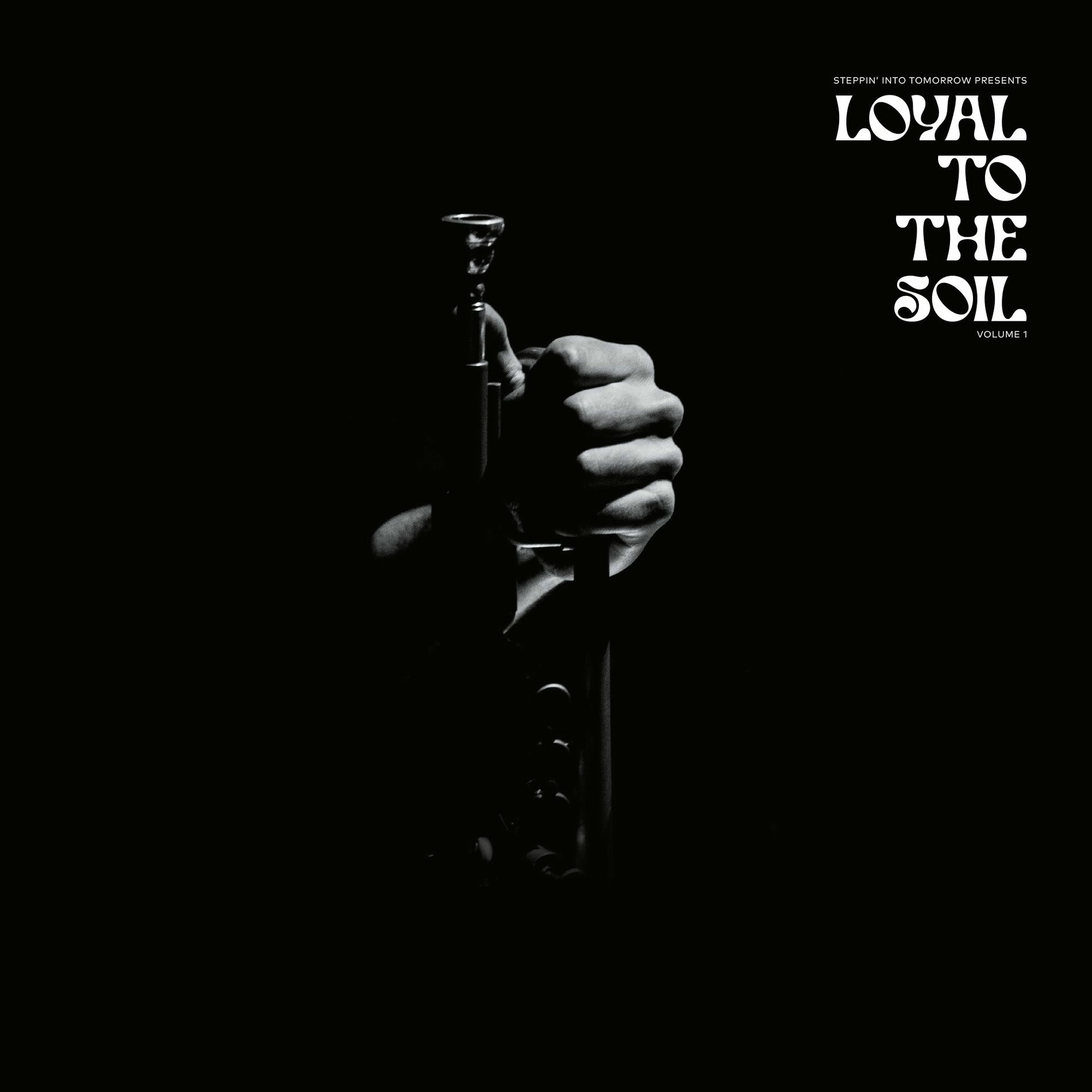 Album cover of Steppin' Into Tomorrow presents Loyal To The Soil Vol.1