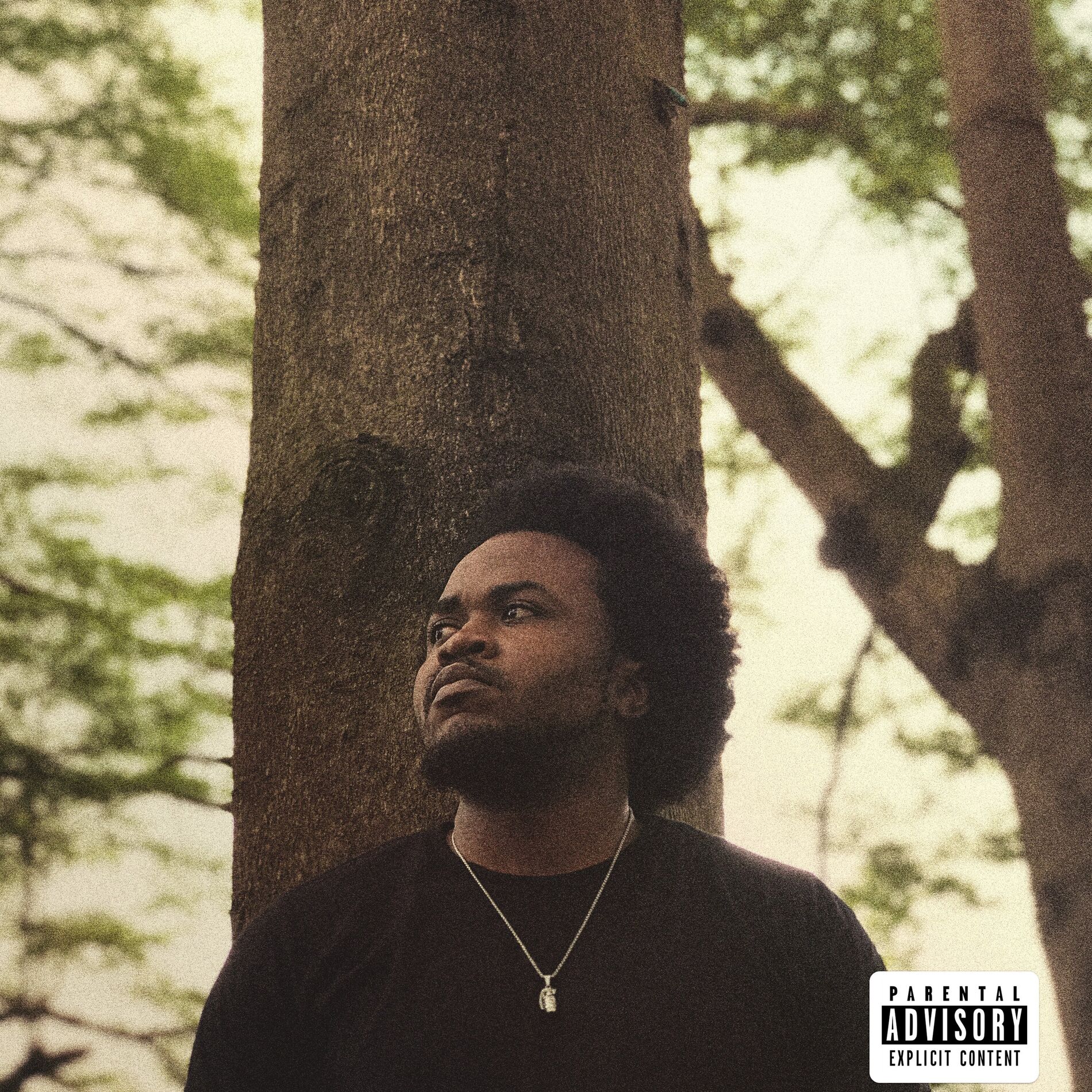 Album cover of Chvmeleon