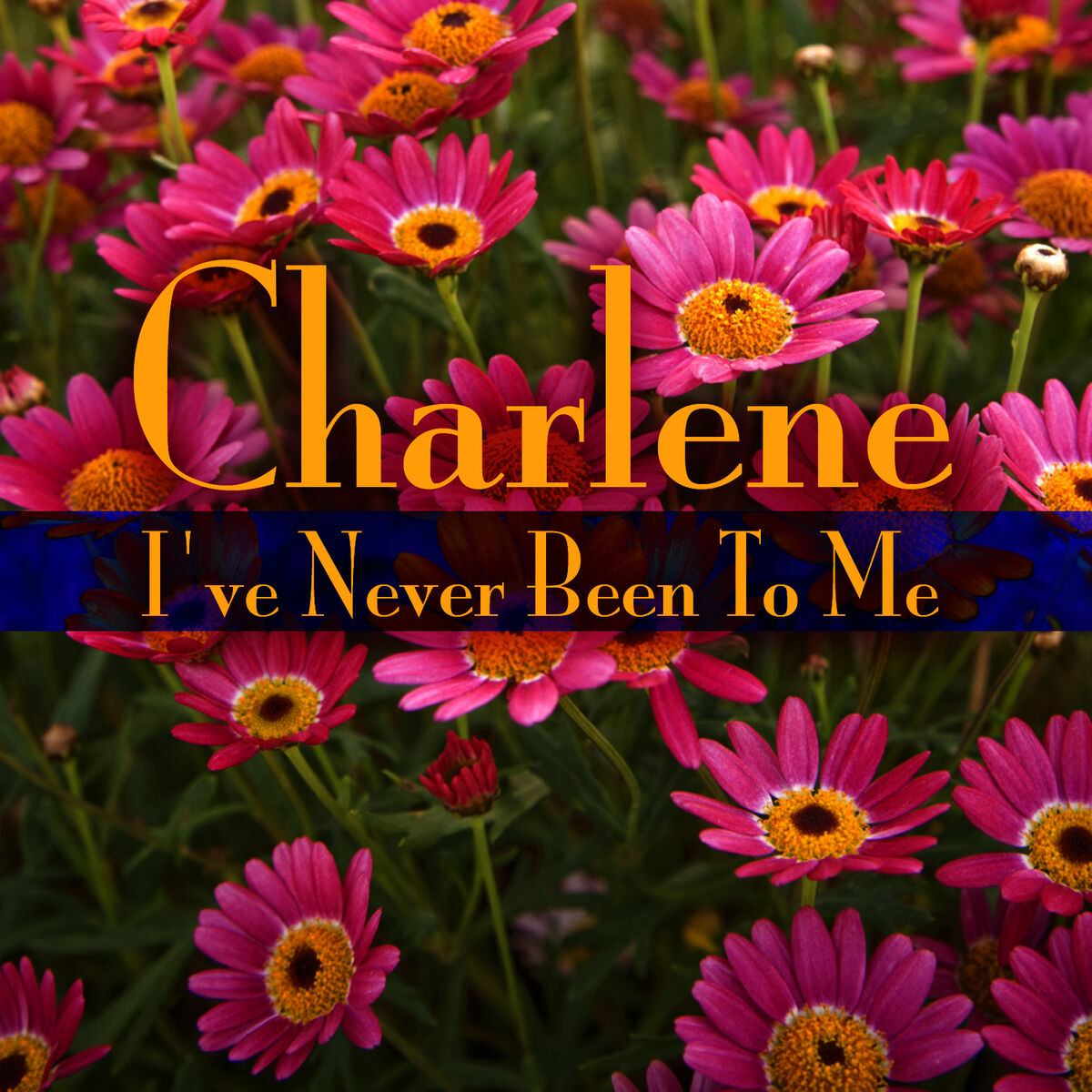 Album cover of Never Been To Me (Re-Recorded Version)