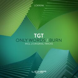 Cover of Only Words / Burn