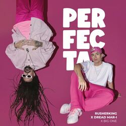 Cover of Perfecta