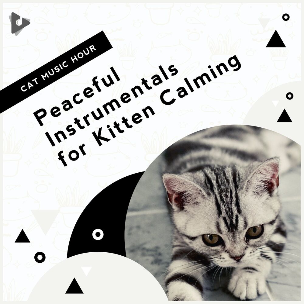 Picture of Peaceful Instrumentals for Kitten Calming