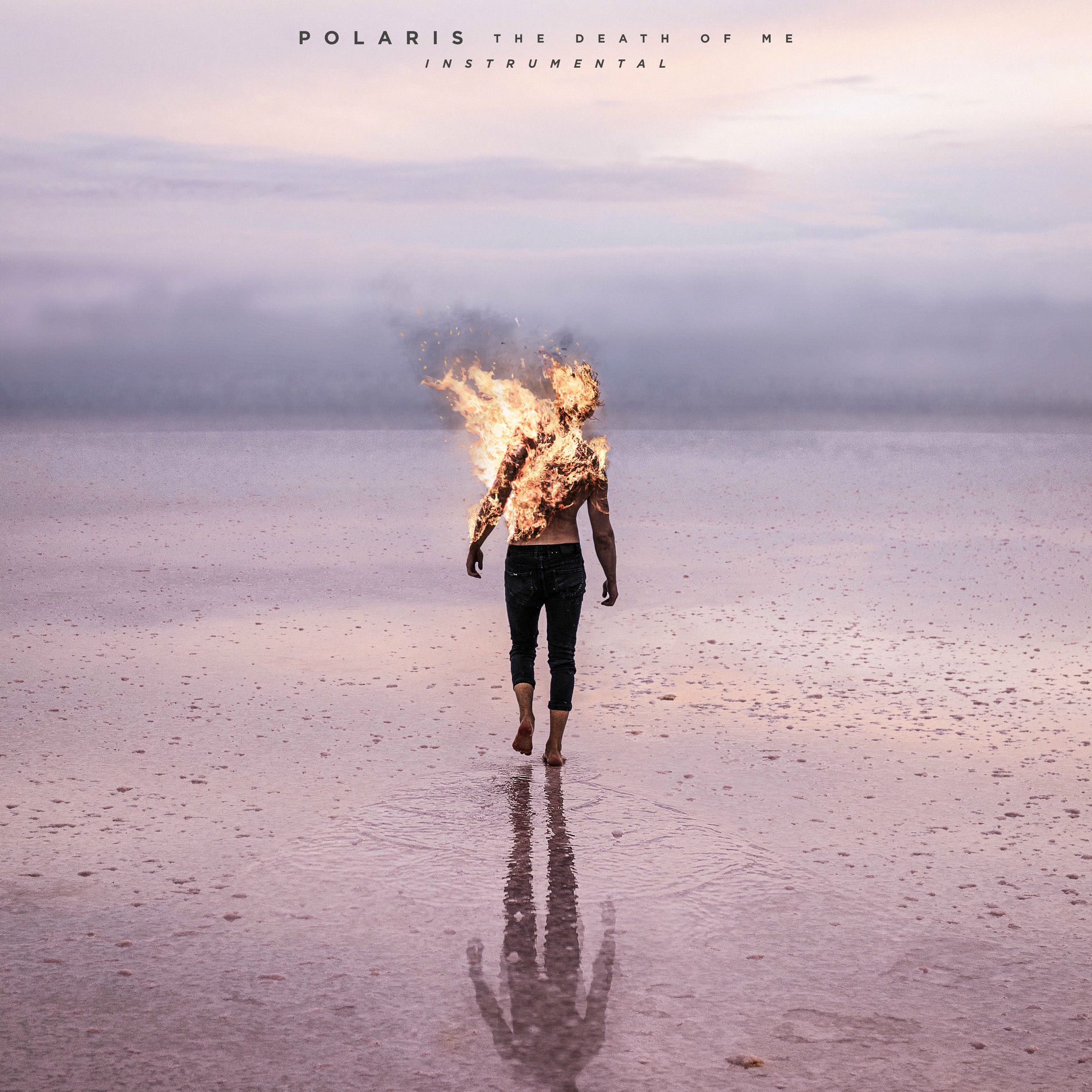 Album cover of Masochist