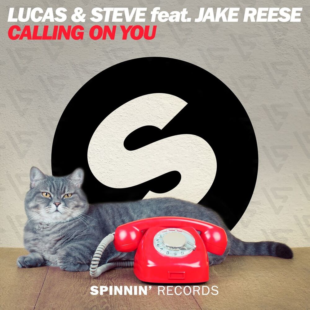 Picture of Calling On You (feat. Jake Reese)