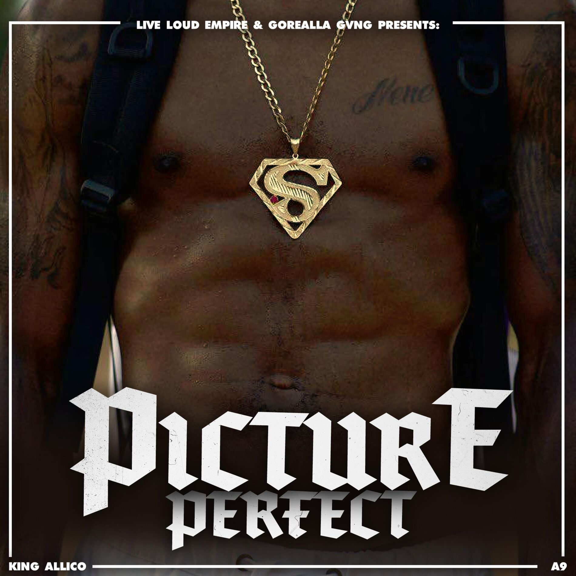 Album cover of Picture Perfect