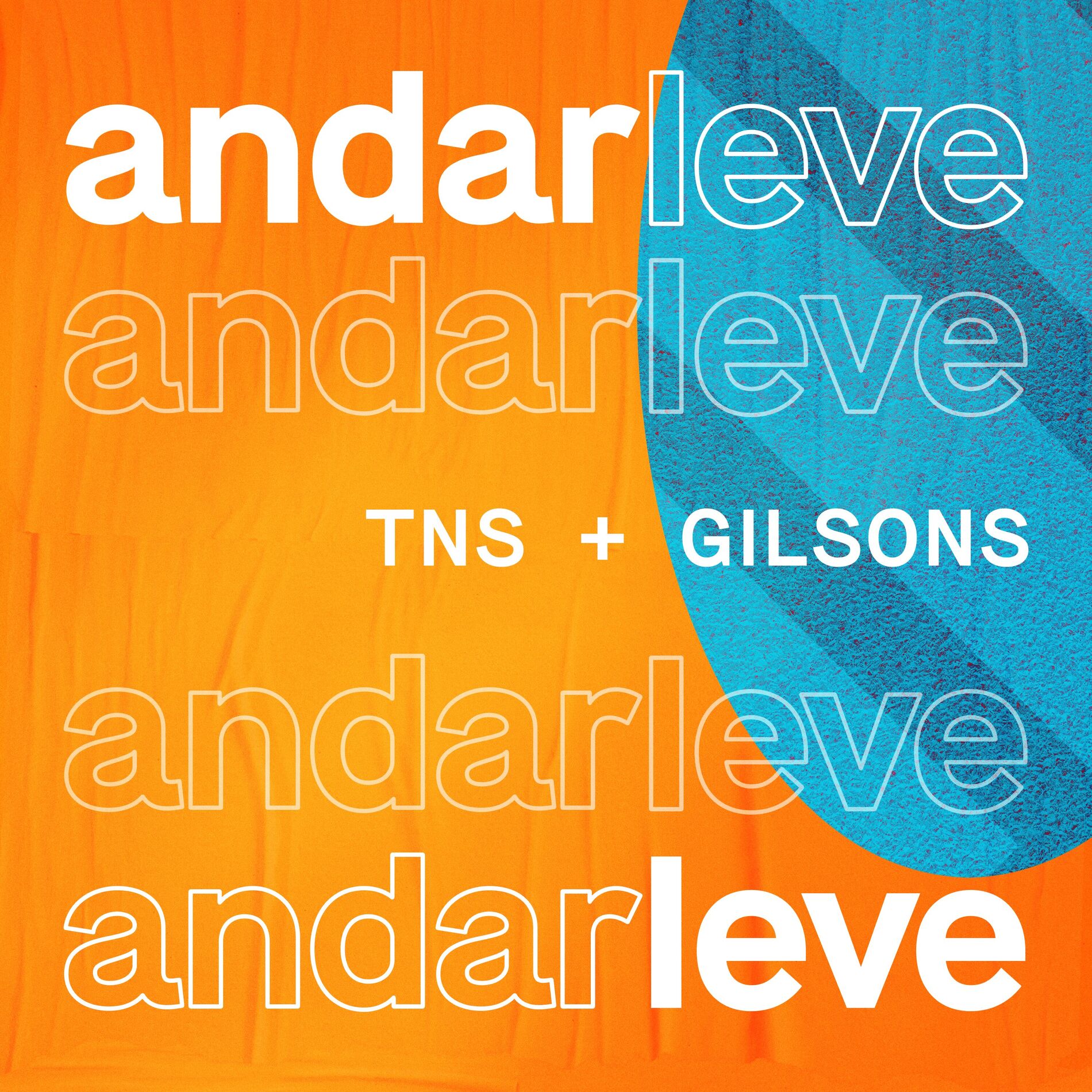 Album cover of Andar Leve