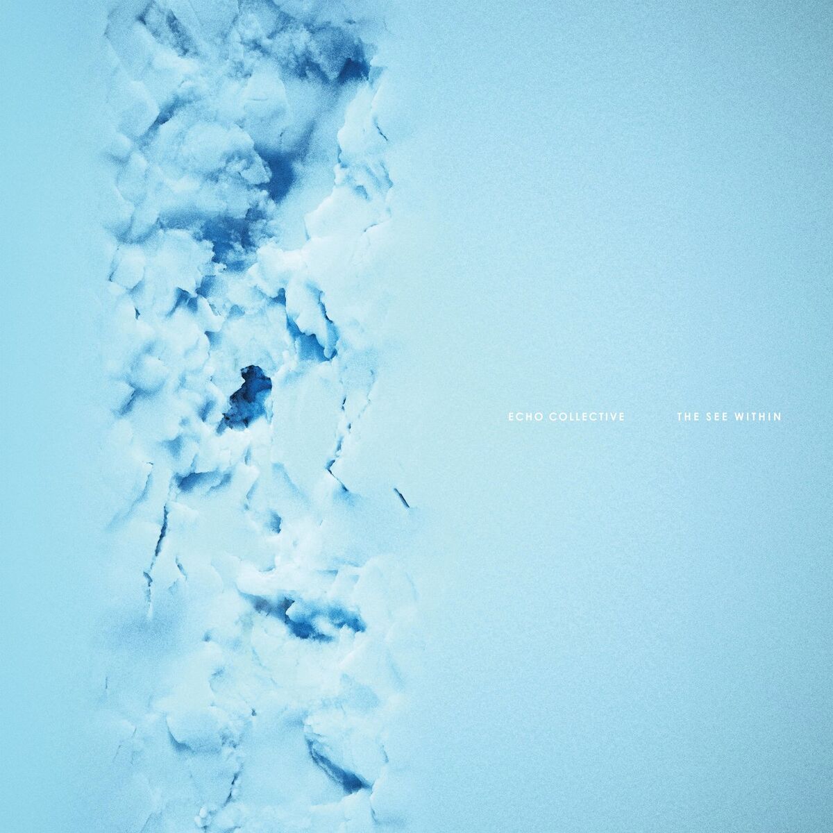 Album cover of The See Within