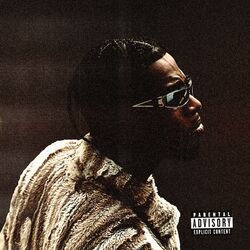 Cover of SHOTTAS