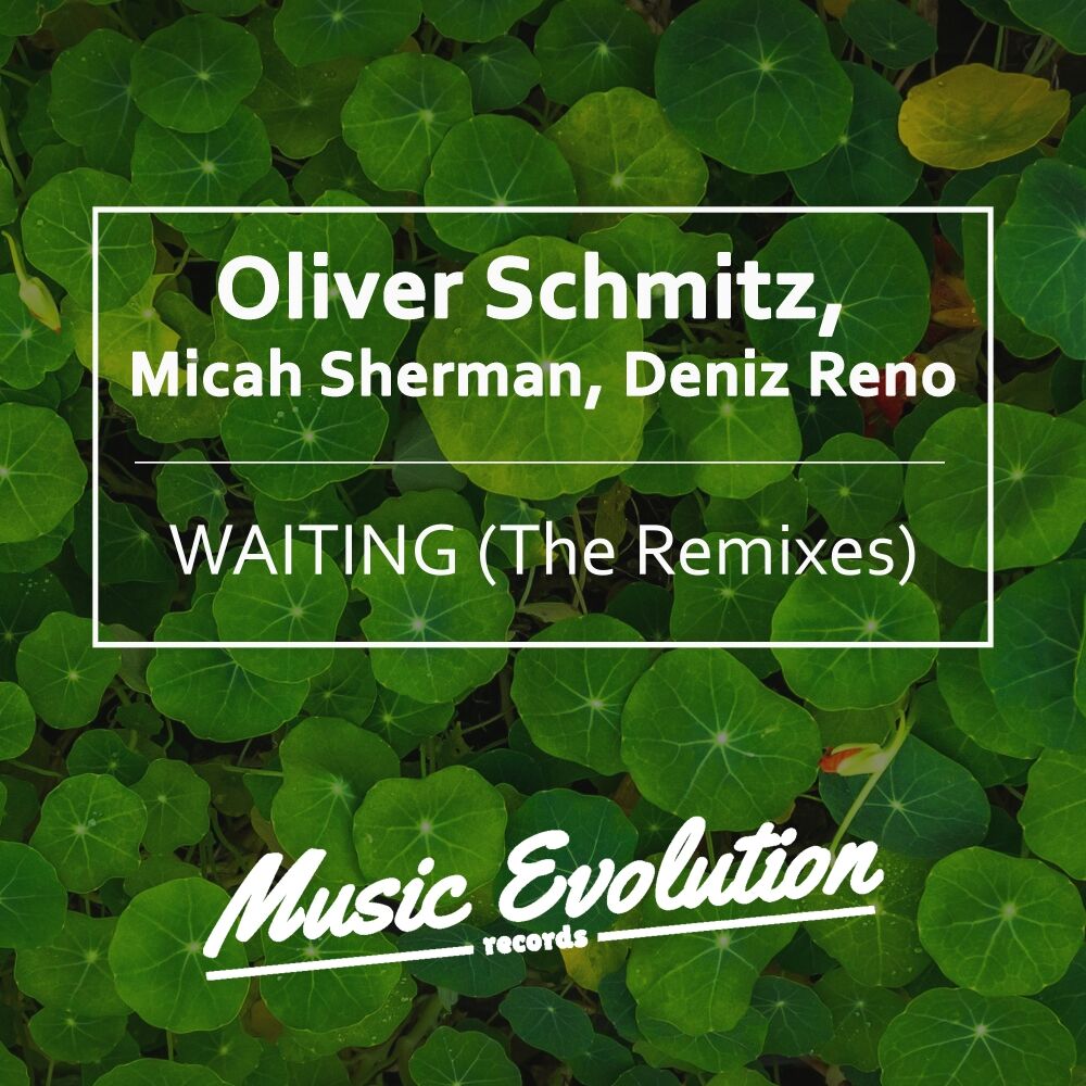 Picture of Waiting (The Remixes)