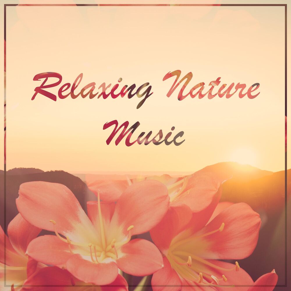 Picture of Relaxing Nature Music for Yoga, Sleep and Meditation