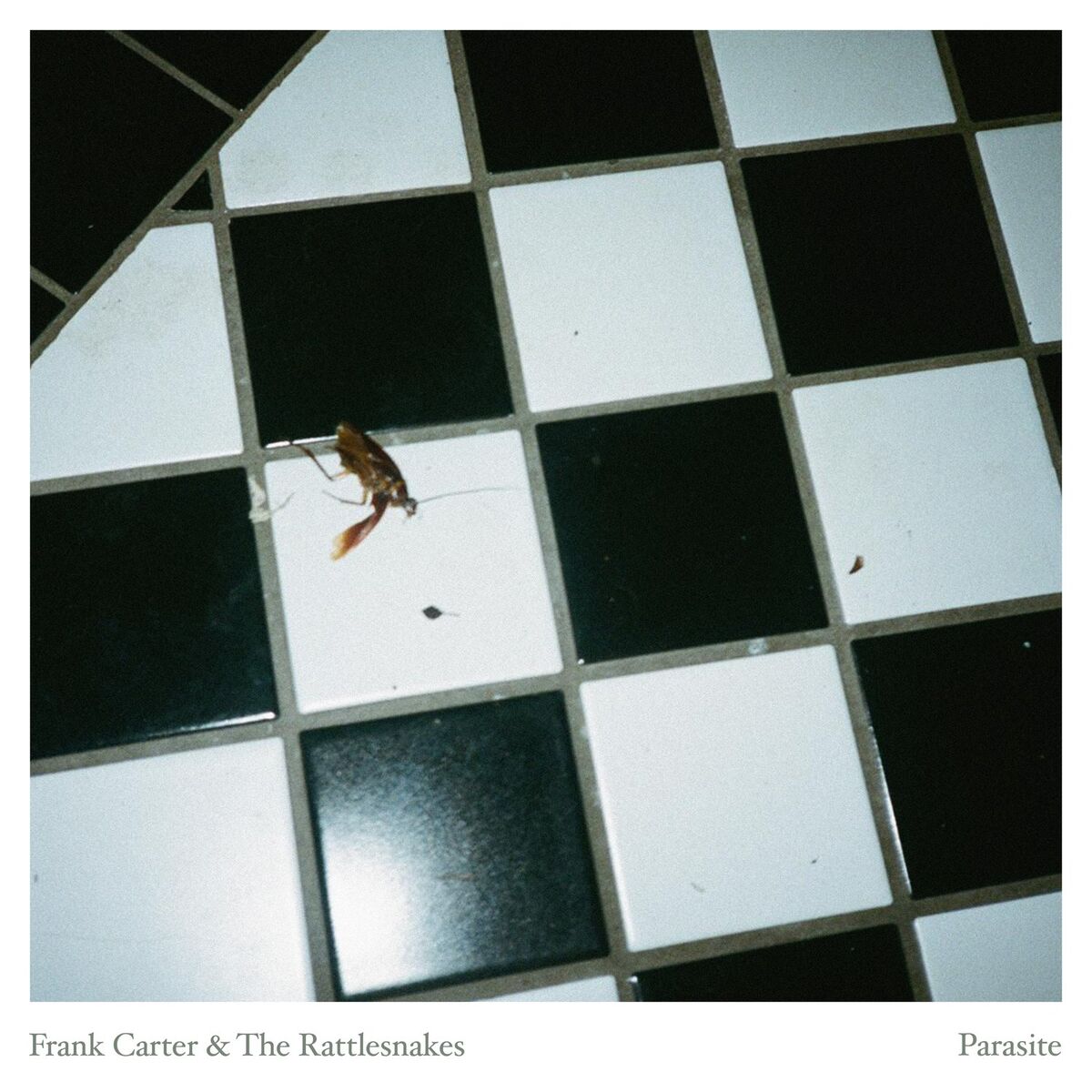 Album cover of Parasite