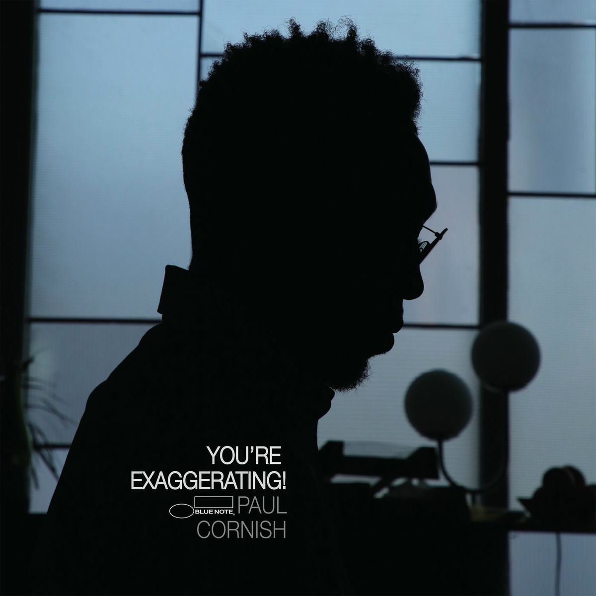 Album cover of Dinosaur Song