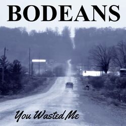 Cover of You Wasted Me