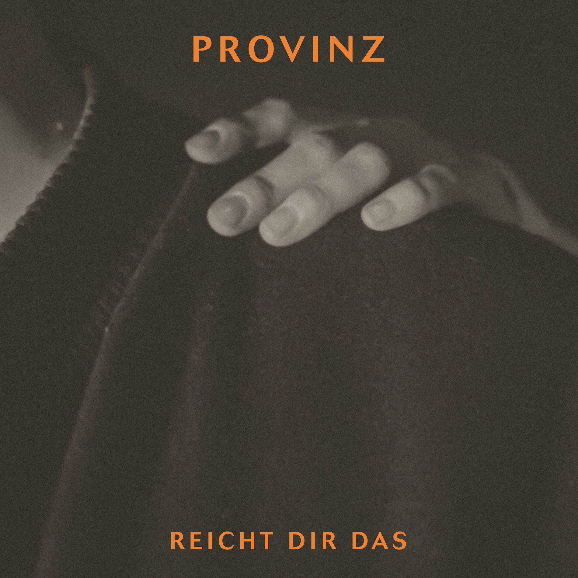 Album cover of Reicht dir das