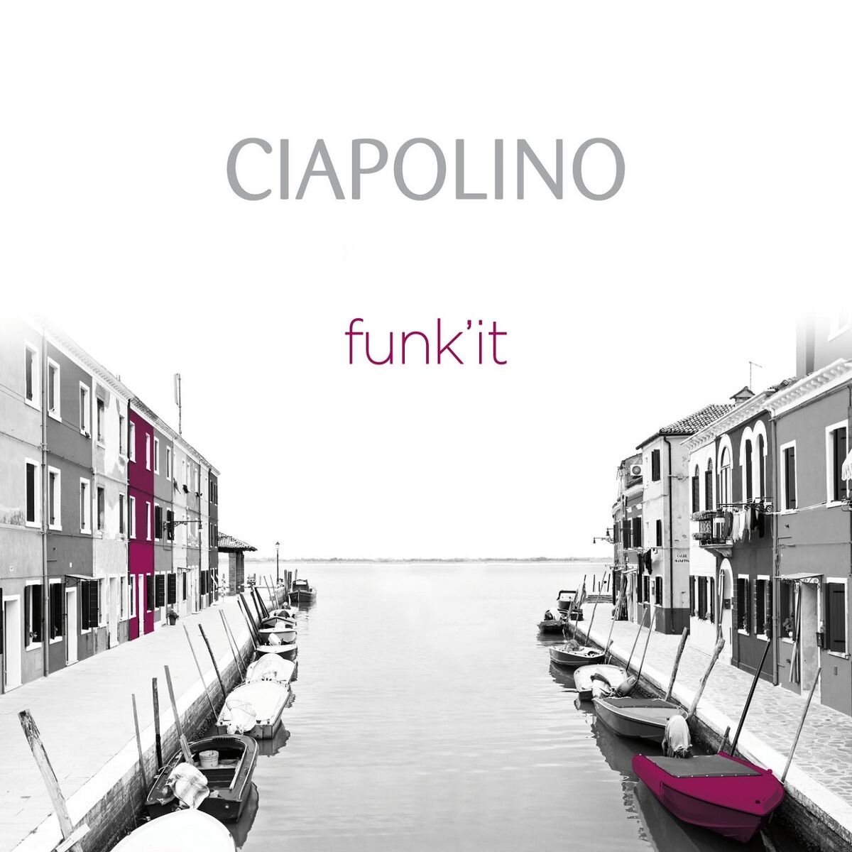 Album cover of Funk'it