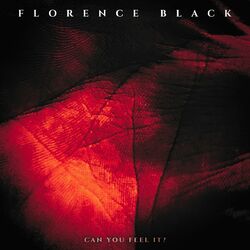 Cover of CAN YOU FEEL IT?