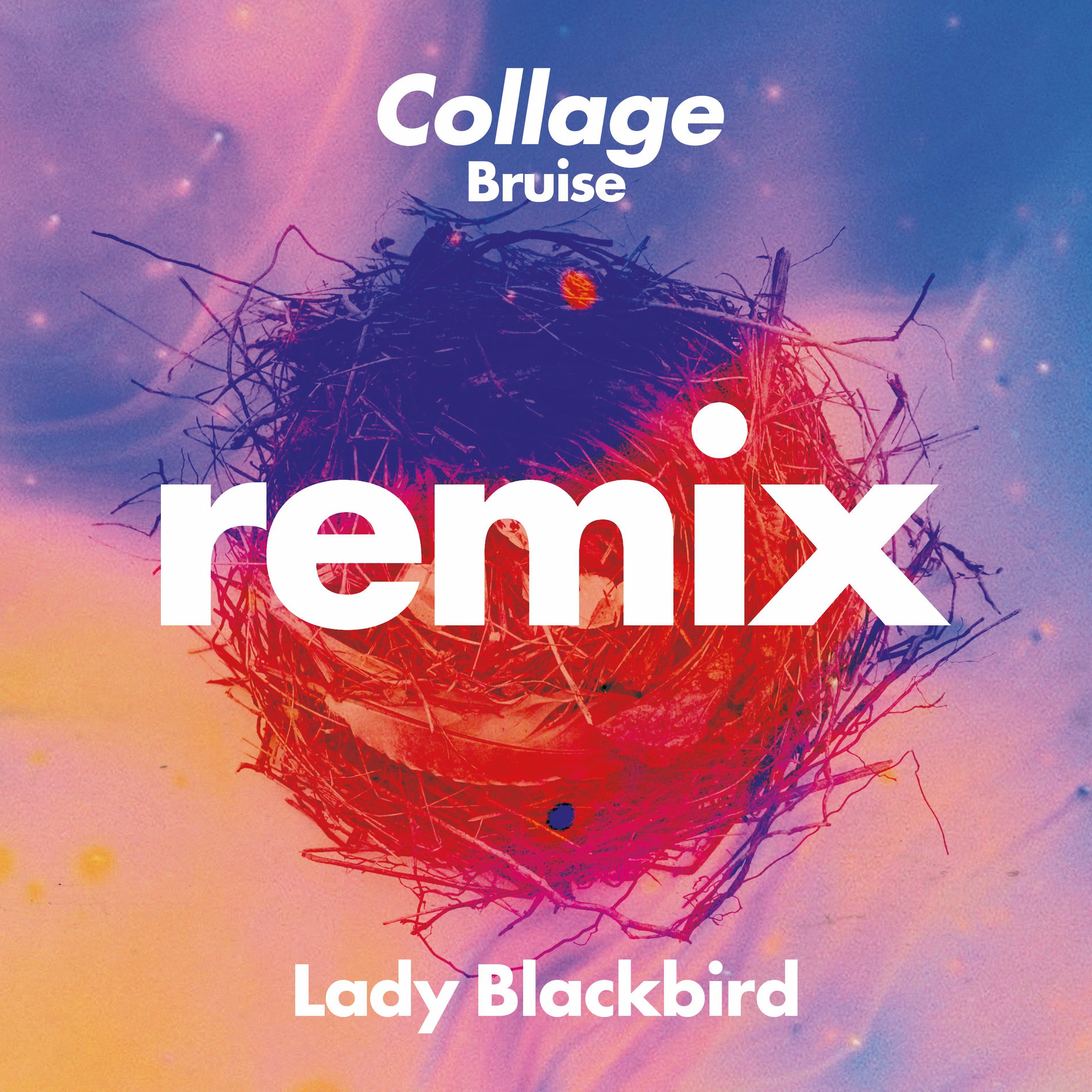 Album cover of Collage (Bruise Remix)
