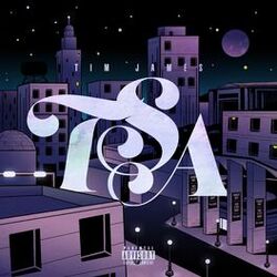 Cover of TSA