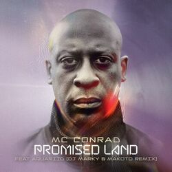 Cover of Promised Land feat Aquariid (DJ Marky & Makoto Remix)