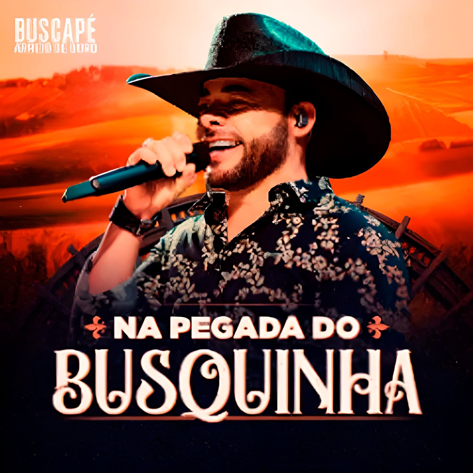 Album cover of Na Pegada do Busquinha